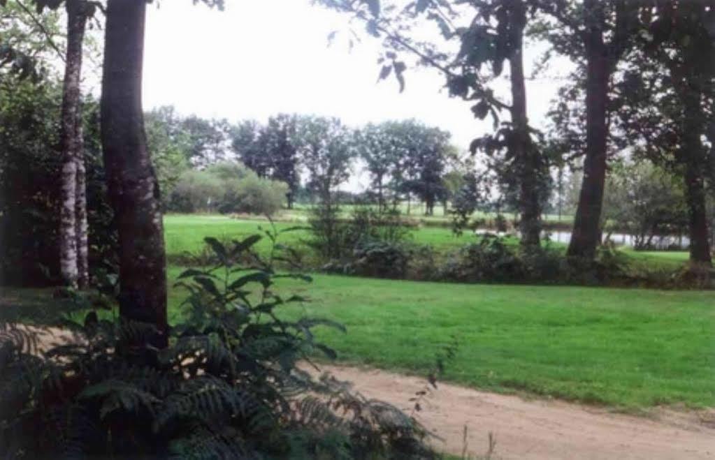 Chateau De Curzay Ngoại thất bức ảnh